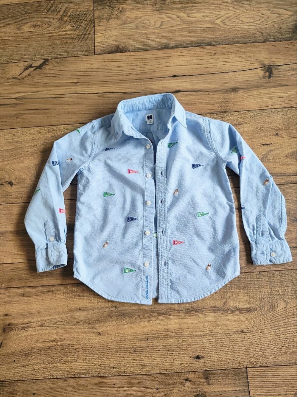 Janie and Jack Light Blue Button-Down Shirt with Pennant Embroidery